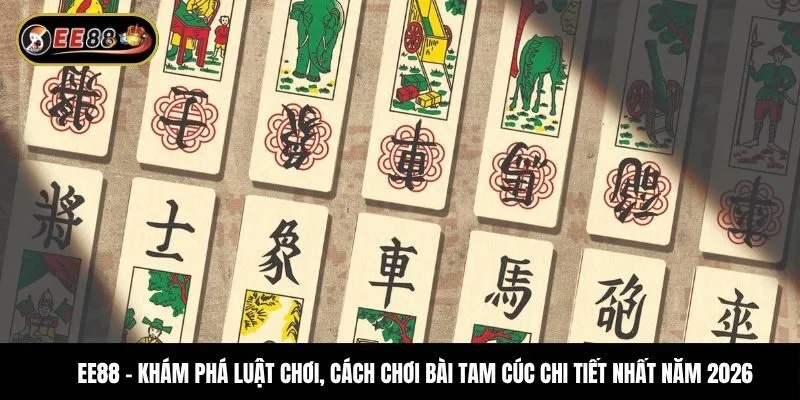 Khám phá luật chơi, cách chơi bài tam cúc chi tiết nhất năm 2026