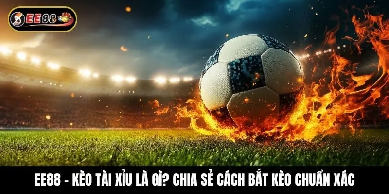 Tìm hiểu chi tiết về kèo Tài xỉu và kinh nghiệm soi cầu bao trúng