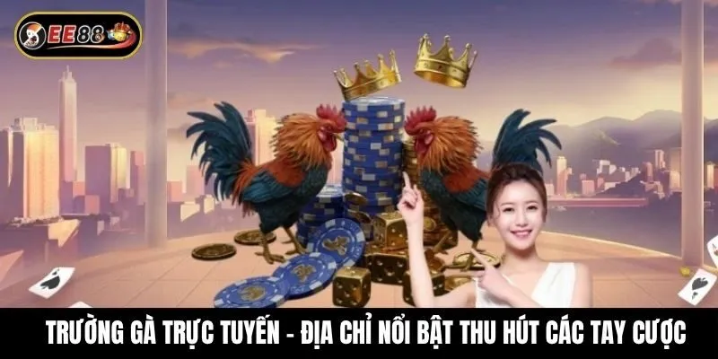 Trường gà trực tuyến - Địa chỉ nổi bật thu hút các tay cược